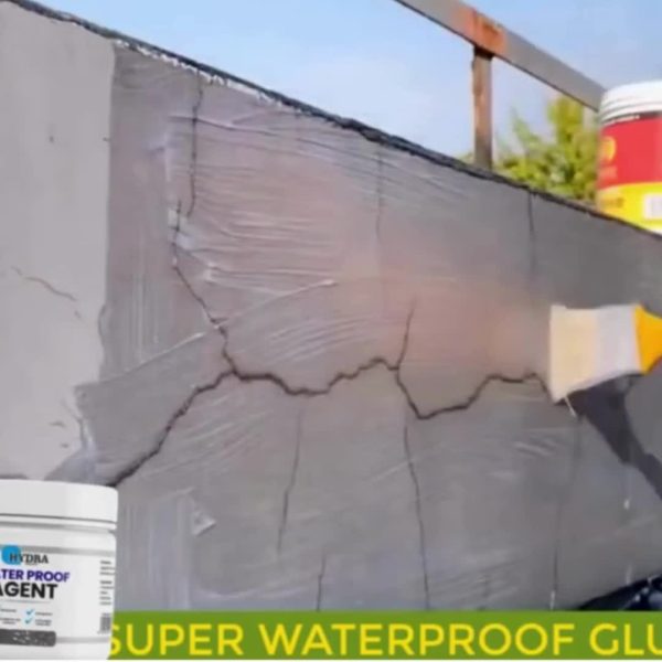 Hydra Best Quality Waterproof Agent For Wall, water Pipes & Floor -with Free Brush